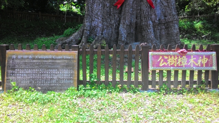 惡路之旅-神木村(有影片)
