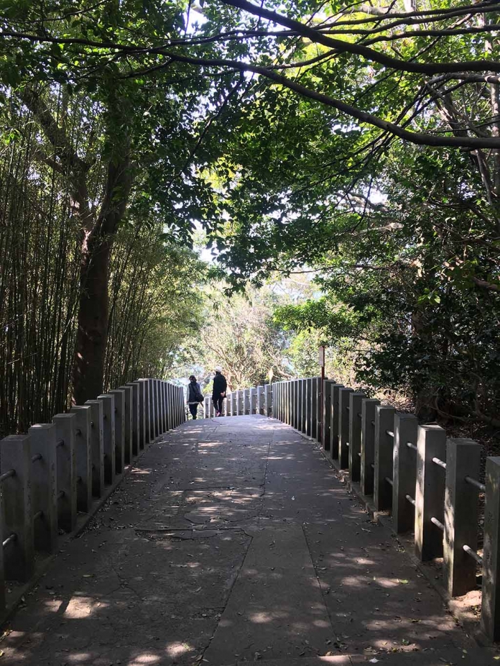 家族太平洋旅行社旅行之靜岡五日賞花團