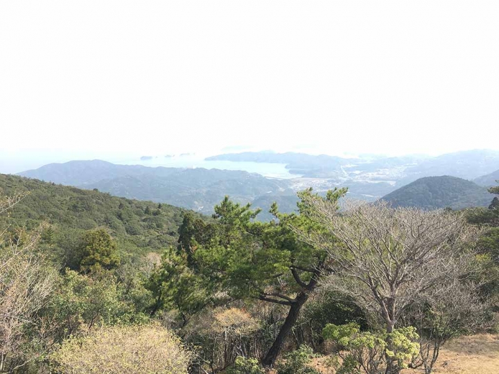 家族太平洋旅行社旅行之靜岡五日賞花團
