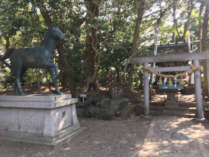 家族太平洋旅行社旅行之靜岡五日賞花團