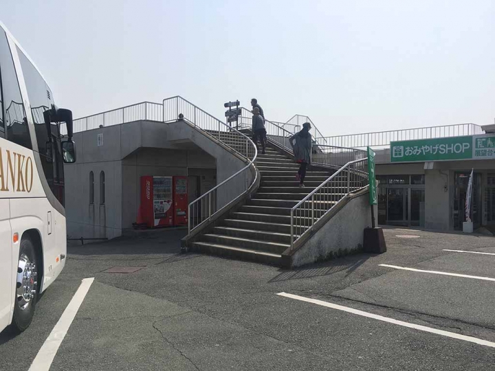 家族太平洋旅行社旅行之靜岡五日賞花團