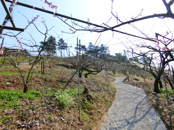 尋訪新佳陽吊橋陡下兩百公尺，路徑1.3公里16彎的燒引擎之旅！