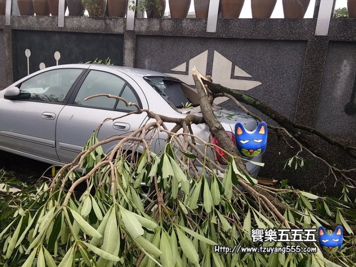 [分享] Hyundai Elantra 1.6汽油 500KM心得