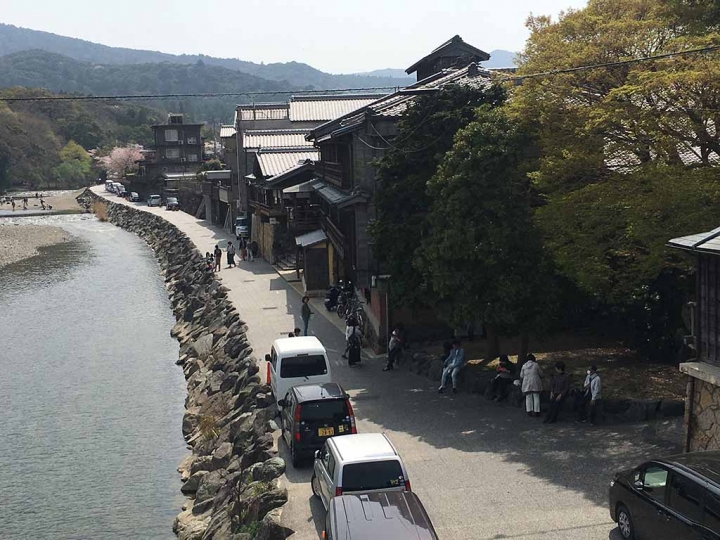家族太平洋旅行社旅行之靜岡五日賞花團
