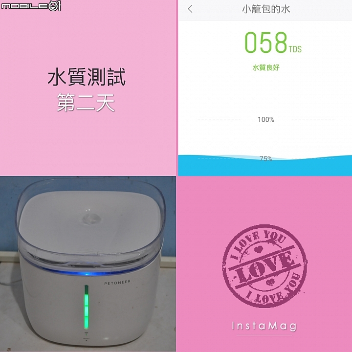 皇太后新男寵！？ 18歲老貓長壽之道大公開!!