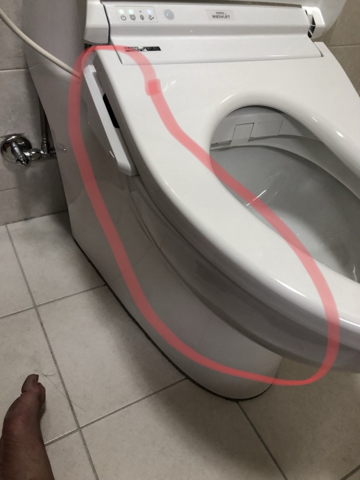 請教TOTO免自馬桶座~搖晃問題