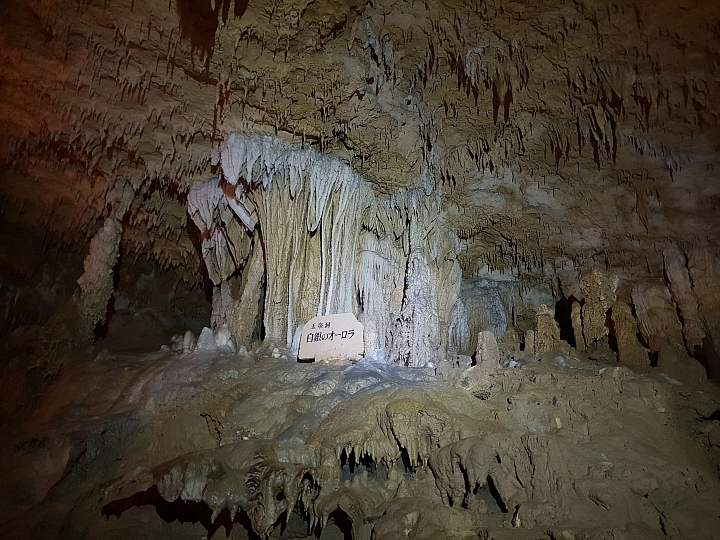 帶著Galaxy S9+ 旅遊及大量拍攝的體驗心得，文長，內含豐富多樣的照片(逆光、低光源、等等)、超慢動作及4K錄影影片
