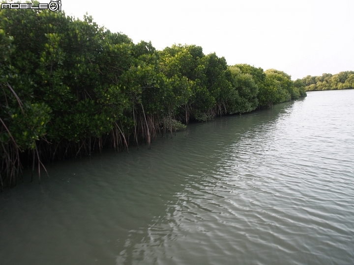 臺南市 安南區 四草 鹽水溪口濕地 -- 搭著膠筏遊瀉湖