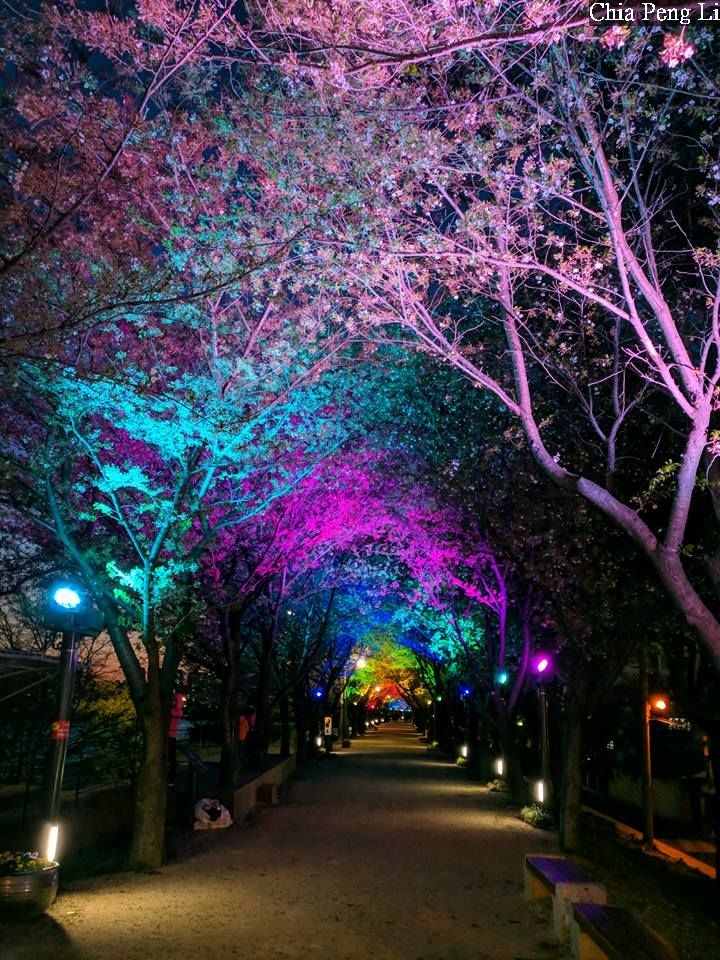 夜景精選 119批~2018年4月6日~5月7日作品