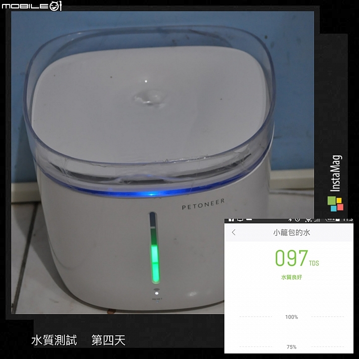 皇太后新男寵！？ 18歲老貓長壽之道大公開!!