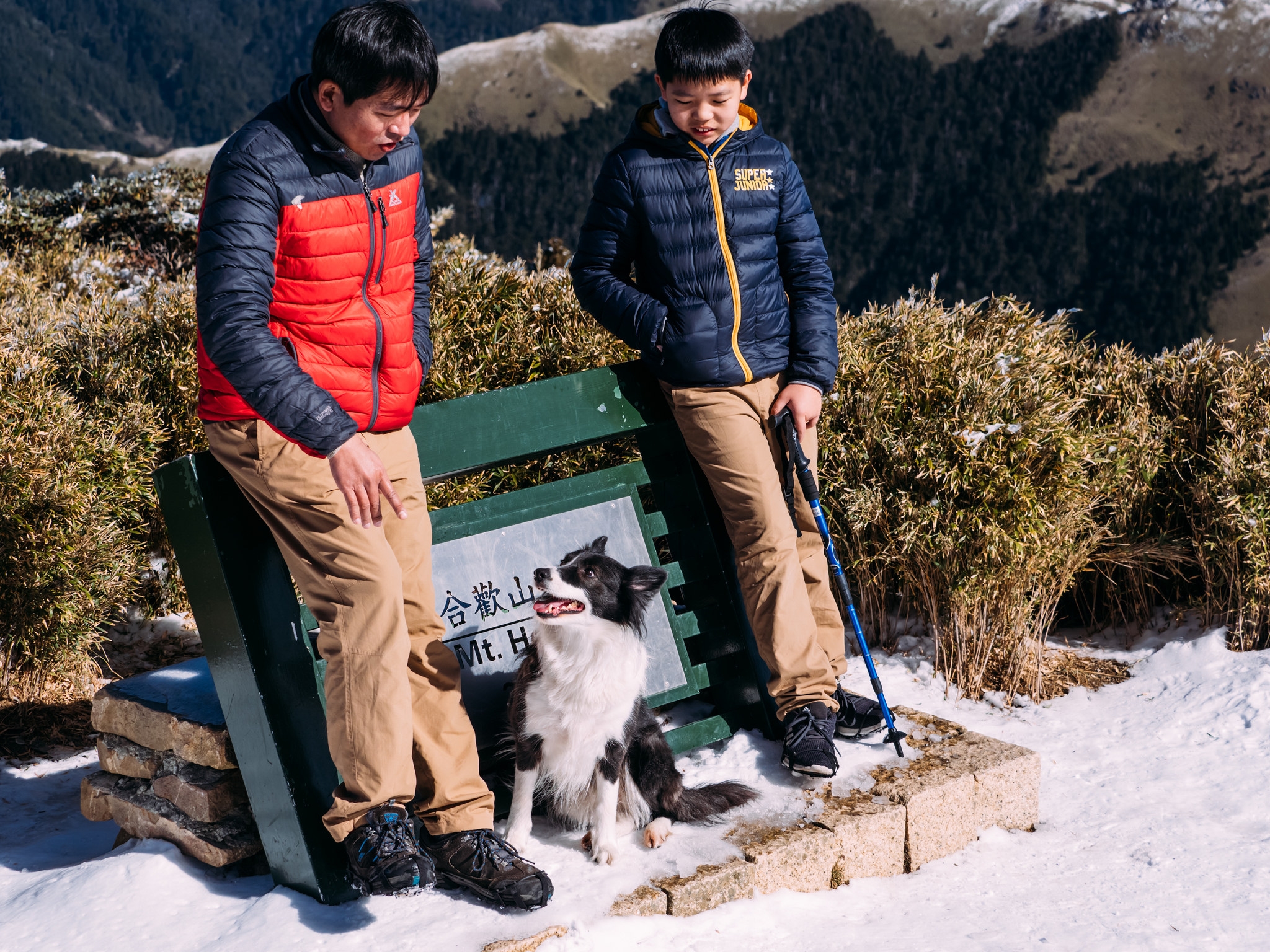 霧霾之上的最後淨土 合歡山國家森林遊樂區