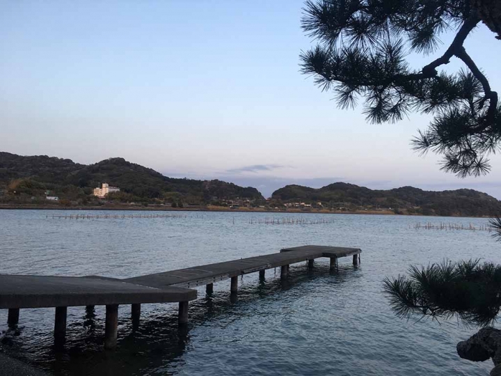 家族太平洋旅行社旅行之靜岡五日賞花團