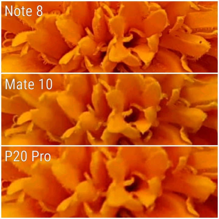 Huawei P20 Pro 與 note8 日夜拍比較