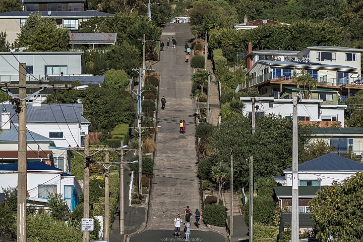 [Nikon D4 x 紐西蘭南島] [圖多] [有後製請注意]