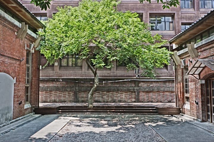 Fujifilm X-A5 + XC15-45mmF3.5-5.6 OIS PZ 評測報告｜導入4K錄影 美肌模式超自然！