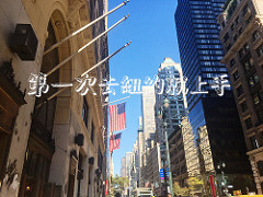 【食記*台北】老闆的秘密算命術&寵物友善&洗衣服&做蛋糕&乾燥花&喝咖啡全部都要「穿越九千公里交給你」!!