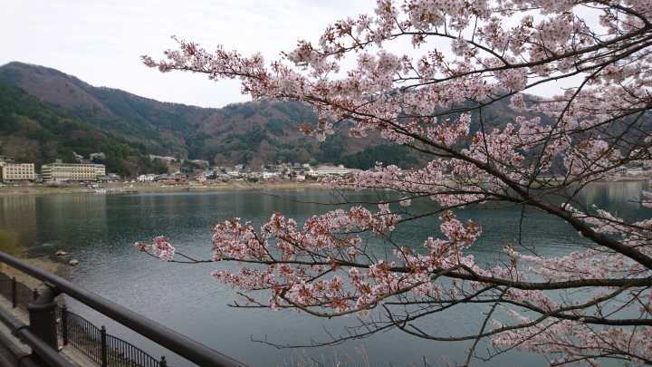 富士山河口湖天上山公園纜車