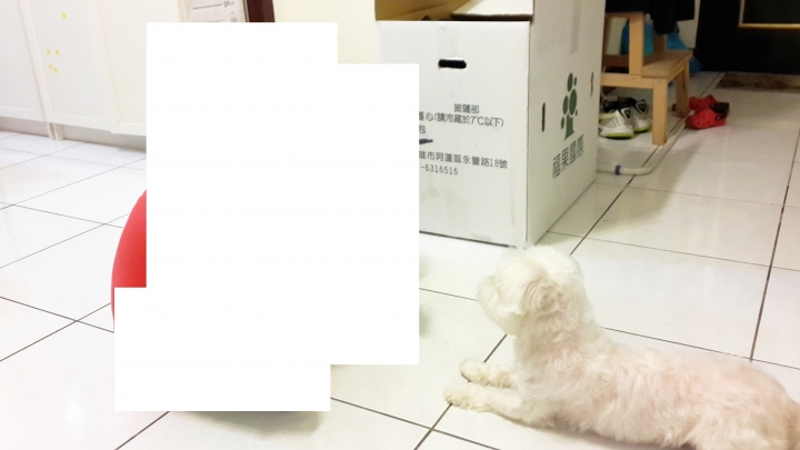 點我看大圖 跪求神人幫忙把過世的狗狗P到歐美的風景裡