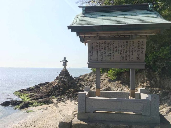 家族太平洋旅行社旅行之靜岡五日賞花團