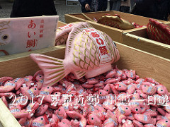 【食記*台北】老闆的秘密算命術&寵物友善&洗衣服&做蛋糕&乾燥花&喝咖啡全部都要「穿越九千公里交給你」!!