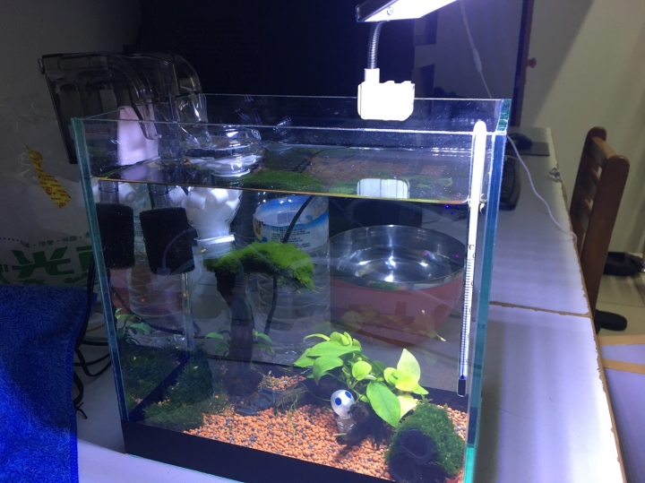 小魚缸配置求建檢