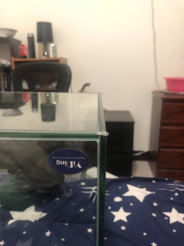 魚缸角角敲到