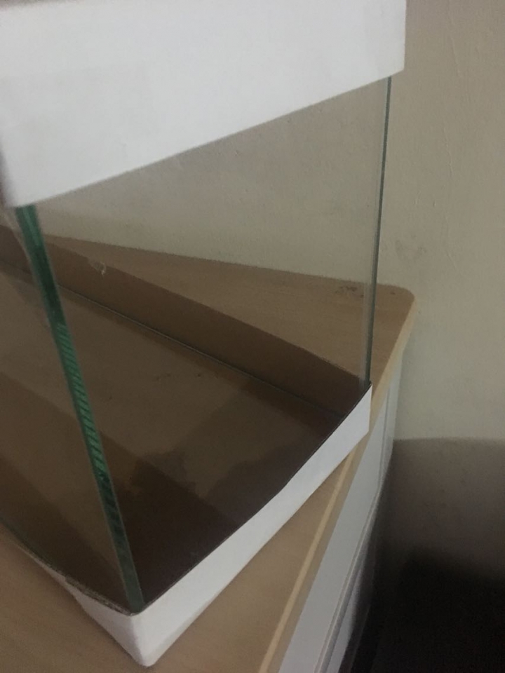 兩尺缸一面破裂有辦法修補嗎？