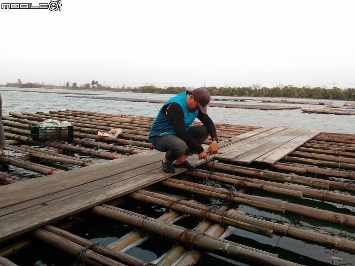 臺南市 安南區 四草 鹽水溪口濕地 -- 搭著膠筏遊瀉湖
