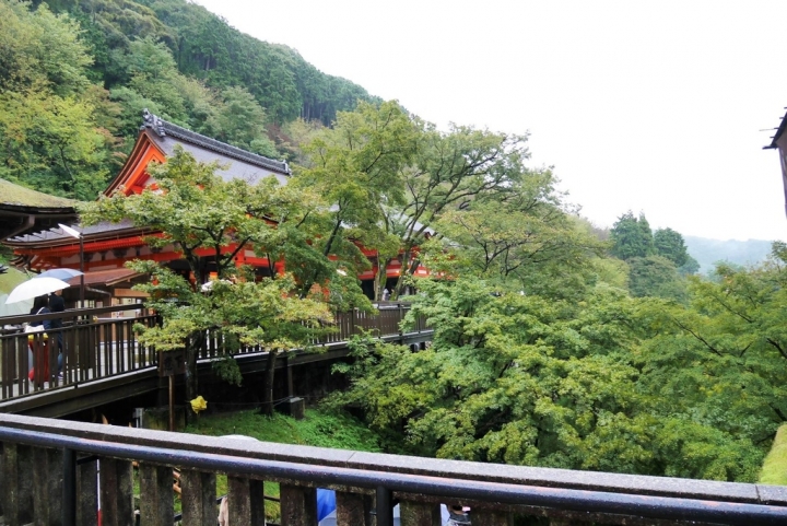 【日本京都 | 景點】漫步經典古都一日遊▹伏見稻荷大社 | 清水寺 | 地主神社 | 二三年坂 | 高台寺