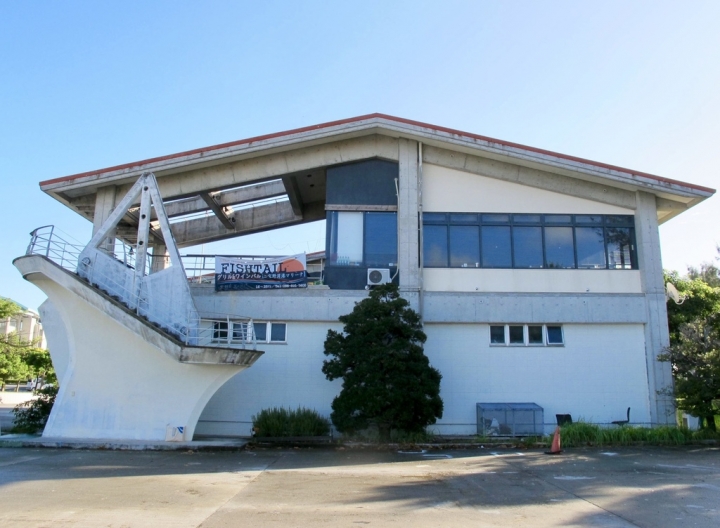 【Okinawa.走跳】沖繩無緣的青之洞窟浮潛:一起跟熱帶魚和鯨鯊游泳