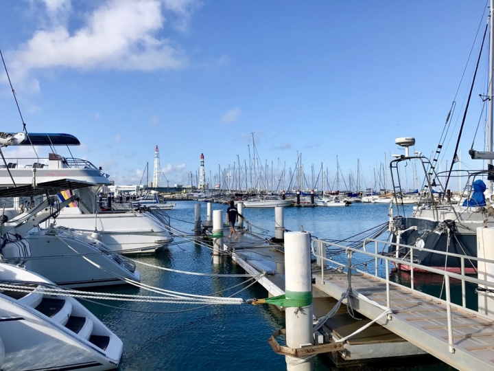 【Okinawa.走跳】沖繩無緣的青之洞窟浮潛:一起跟熱帶魚和鯨鯊游泳