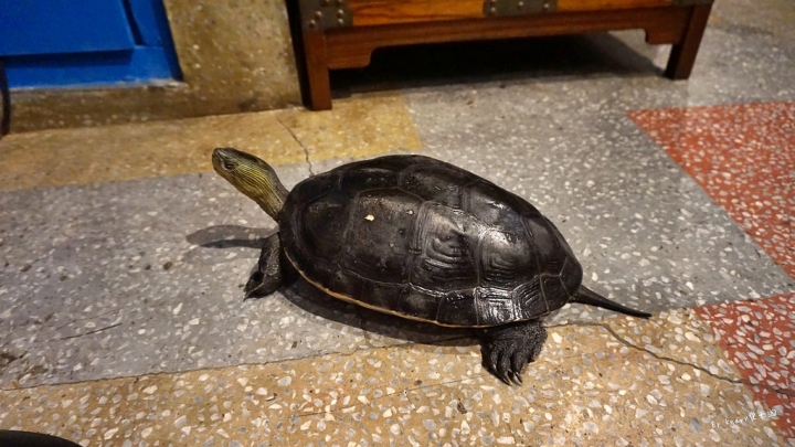 ★台南中西區★【赤崁璽樓】原禪食蔬食料理餐廳/慢靈魂、攝影魂一次滿足/五味八珍的歲月拍攝地/台南美食推薦/台南素食推薦。