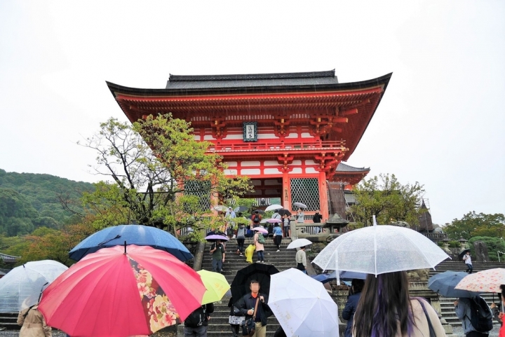【日本京都 | 景點】漫步經典古都一日遊▹伏見稻荷大社 | 清水寺 | 地主神社 | 二三年坂 | 高台寺