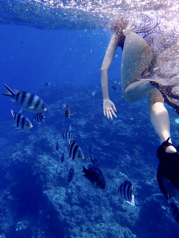 【Okinawa.走跳】沖繩無緣的青之洞窟浮潛:一起跟熱帶魚和鯨鯊游泳