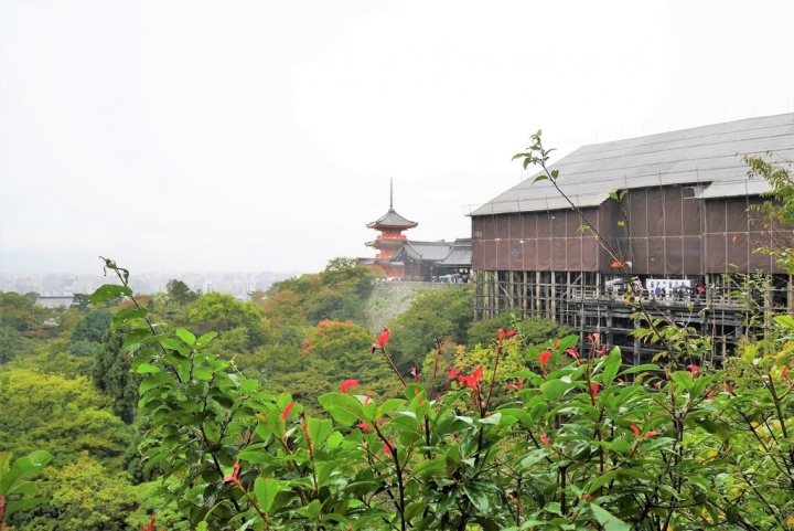 【日本京都 | 景點】漫步經典古都一日遊▹伏見稻荷大社 | 清水寺 | 地主神社 | 二三年坂 | 高台寺