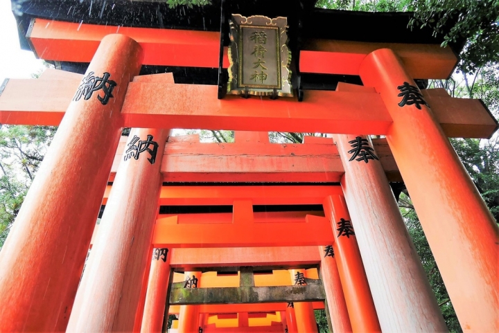 【日本京都 | 景點】漫步經典古都一日遊▹伏見稻荷大社 | 清水寺 | 地主神社 | 二三年坂 | 高台寺