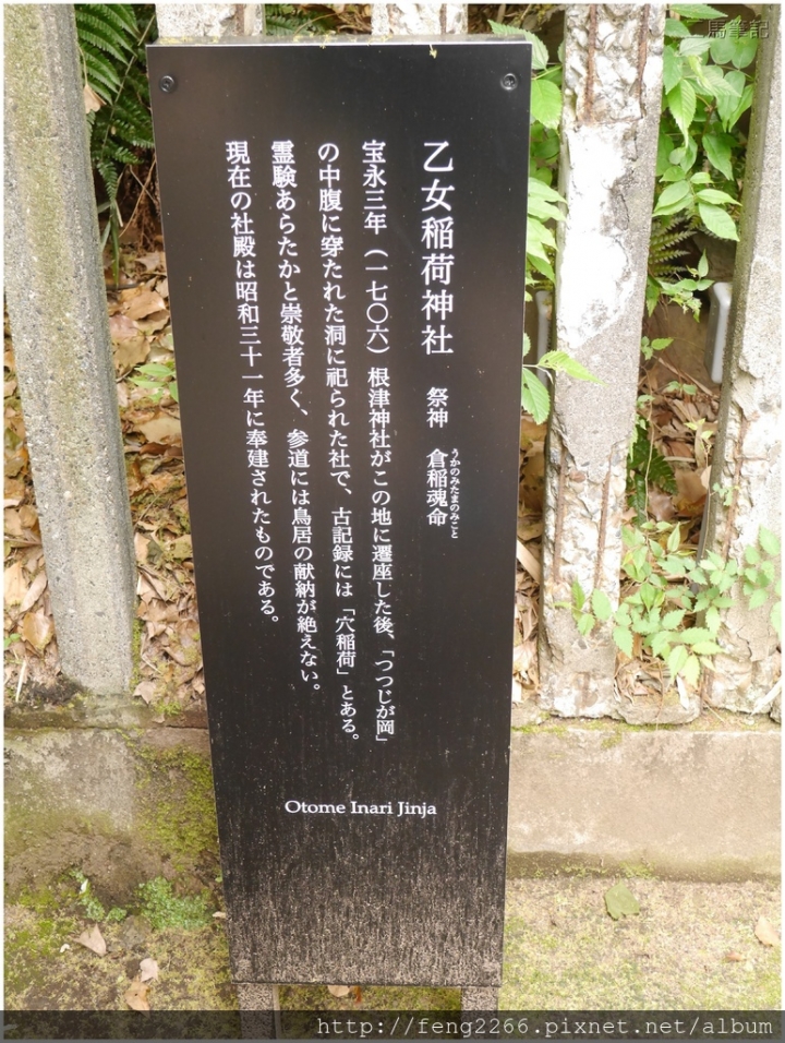 (東京)根津神社-杜鵑花祭