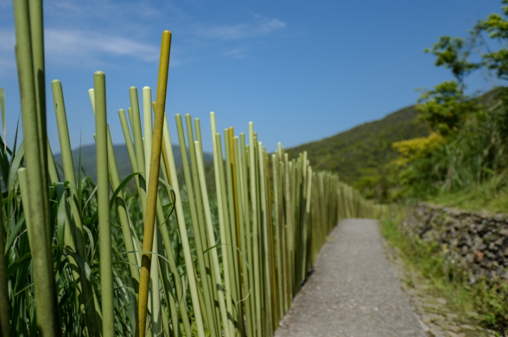 [宜蘭] 龜山島日出 頭城濱海森林公園 八角瞭望台廢墟 渭水之丘