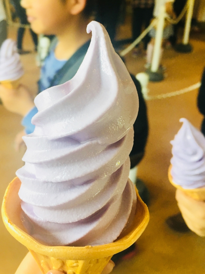 【景點。遊記】栃木縣 3900円的紫藤花自駕遊 日本旅遊 觀光 美食 租車 食記 心得