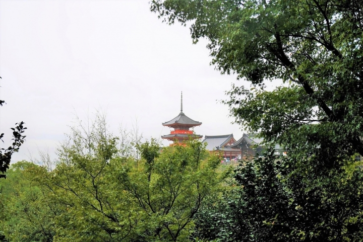 【日本京都 | 景點】漫步經典古都一日遊▹伏見稻荷大社 | 清水寺 | 地主神社 | 二三年坂 | 高台寺