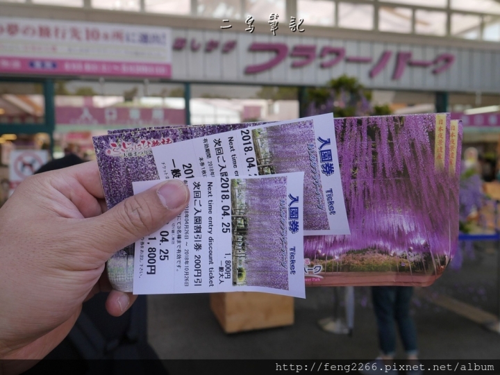 (日本栃木縣 足利花卉公園) 沉浸花香中的夢幻紫藤花季
