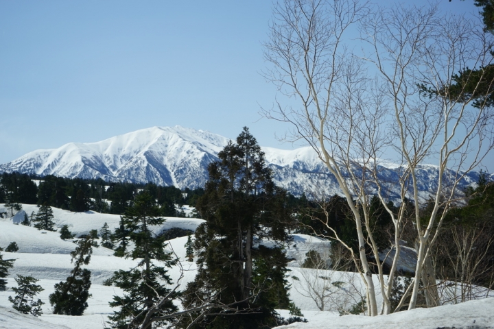 [遊記] 雪山冰壁骯髒湖,立山黑部出任務