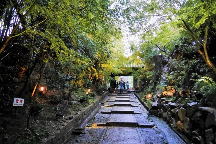 【日本京都 | 景點】漫步經典古都一日遊▹伏見稻荷大社 | 清水寺 | 地主神社 | 二三年坂 | 高台寺