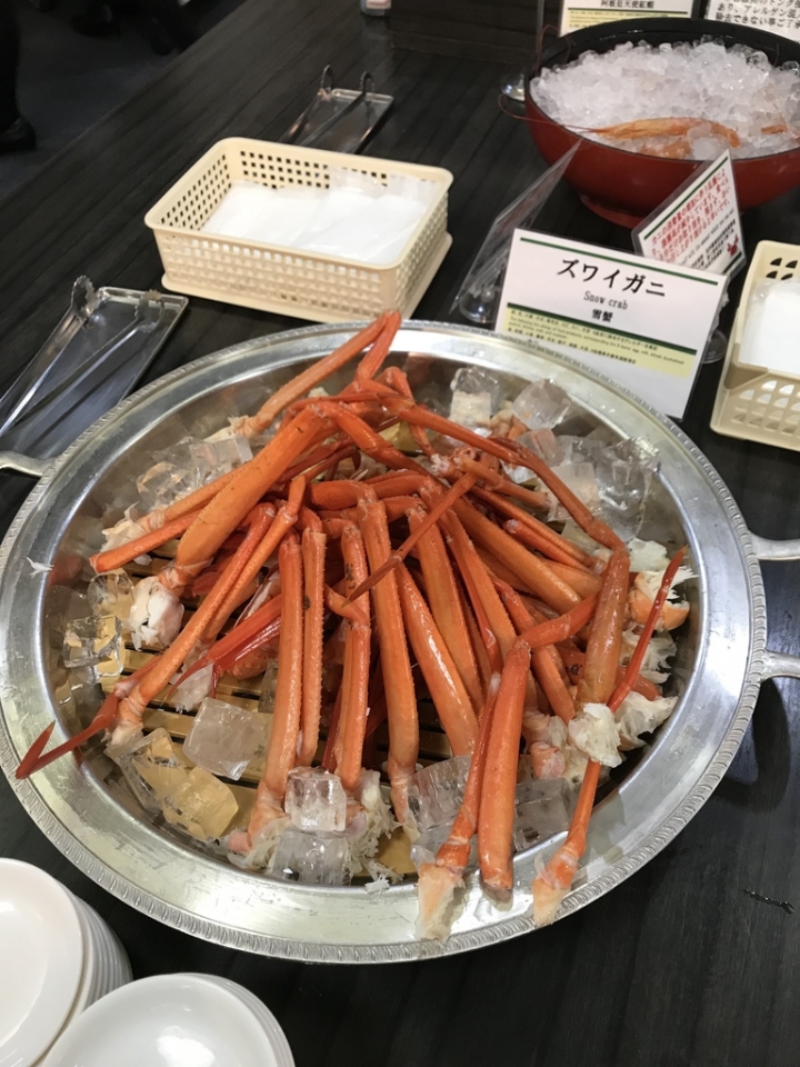 [遊記] 雪山冰壁骯髒湖,立山黑部出任務