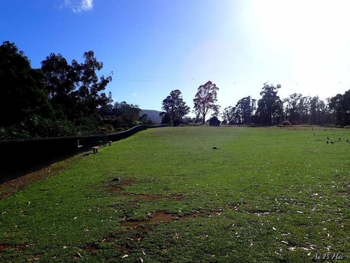 【Tasmania塔斯馬尼亞】Trowunna Wildlife Park 終於看到塔斯馬尼亞惡魔啦！