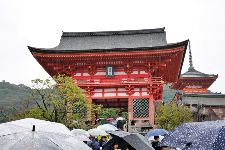 【日本京都 | 景點】漫步經典古都一日遊▹伏見稻荷大社 | 清水寺 | 地主神社 | 二三年坂 | 高台寺