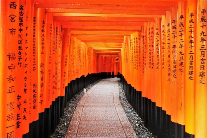 【日本京都 | 景點】漫步經典古都一日遊▹伏見稻荷大社 | 清水寺 | 地主神社 | 二三年坂 | 高台寺