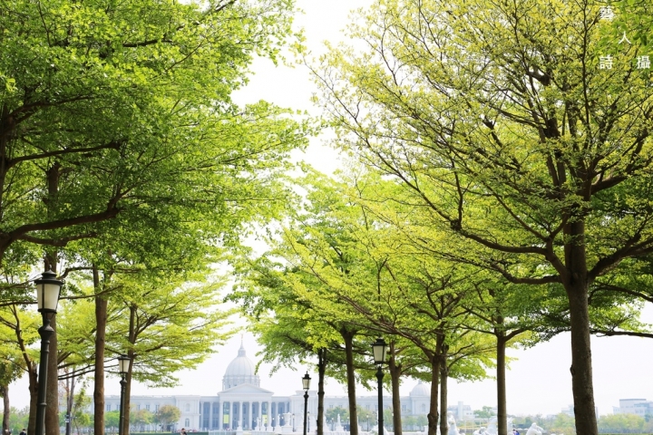 帶你去台灣最美的歐式庭園.全球量最多的小提琴收藏《奇美博物館》