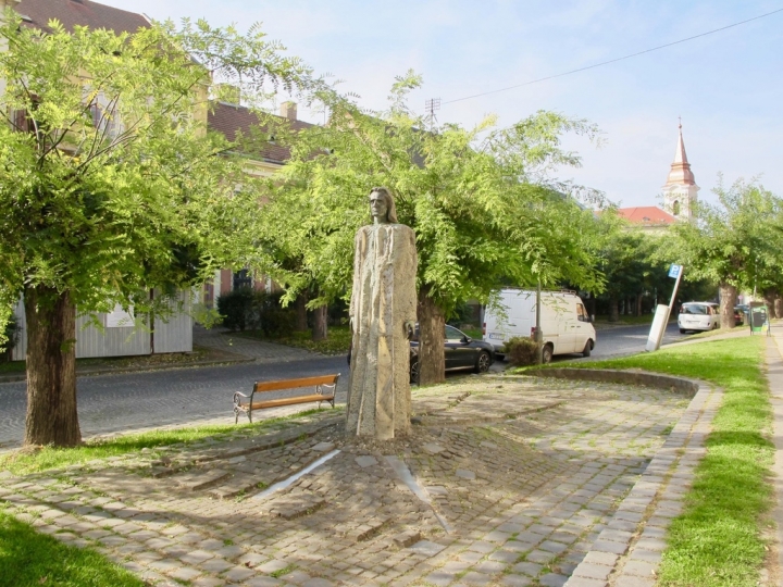 【Hungary.走跳】布達佩斯近郊一日三小鎮旅行(一)斯匈邊境 Esztergom