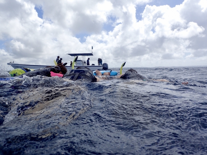 【Okinawa.走跳】沖繩無緣的青之洞窟浮潛:一起跟熱帶魚和鯨鯊游泳